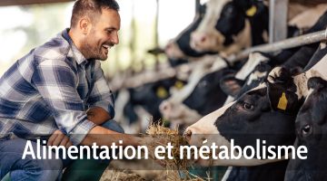 Alimentation et métabolisme