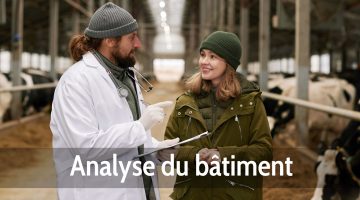 Analyse du bâtiment