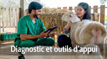 Diagnostic