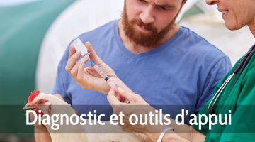 Diagnostic
