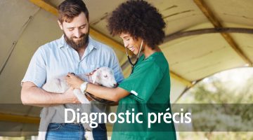 Diagnostic précis