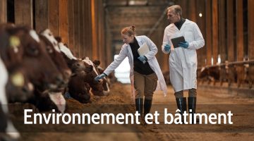 Environnement