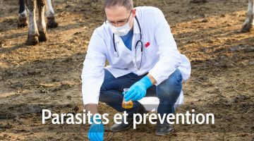 Parasites et prévention