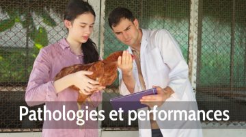 Pathologies