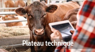 Plateau technique