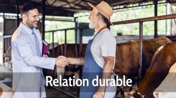 Relation durable