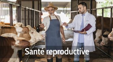 Santé reproductive