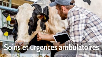 Soins et urgences