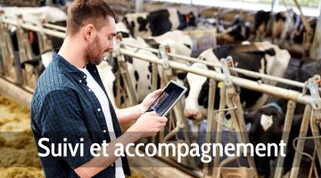Suivi et accompagnement