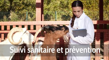 Suivi sanitaire