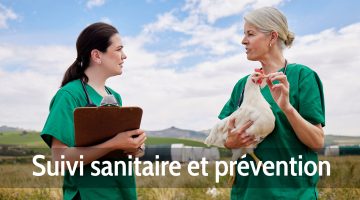 Suivi sanitaire