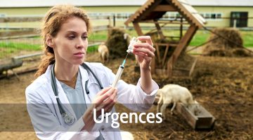 Urgences