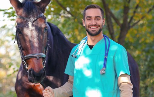 Veterinarian in uniform with beautiful brown horse outdoors