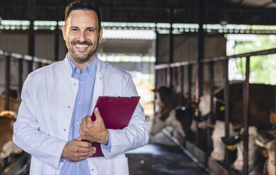 smiling veterinarian in a barn holding a clipboard, standing in front of cattle, ready for inspection.